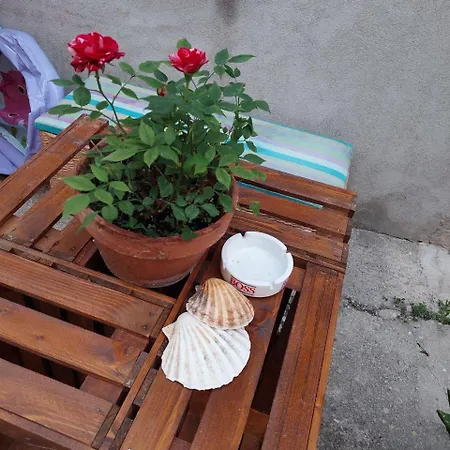Apartma Tuna Apartment Izola